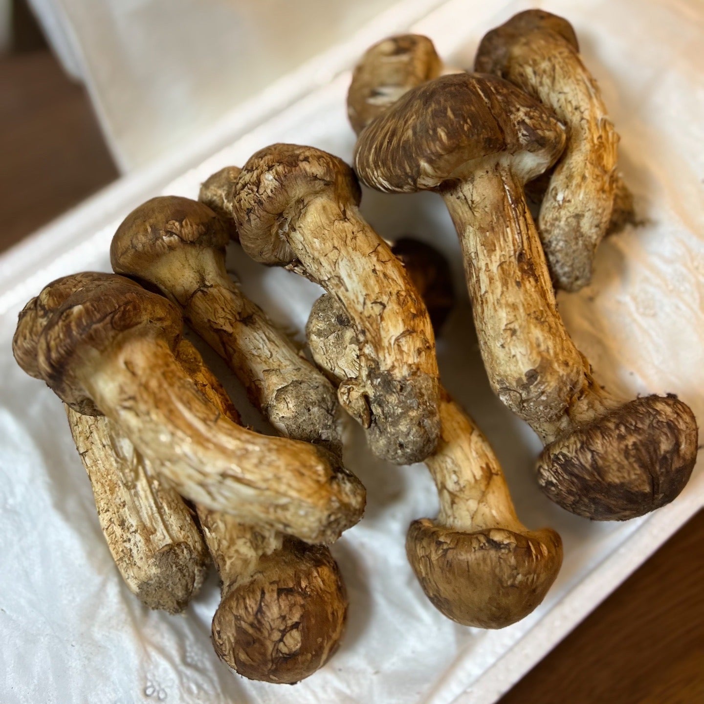 ブータン産 天然松茸 500gとキャビアのセット